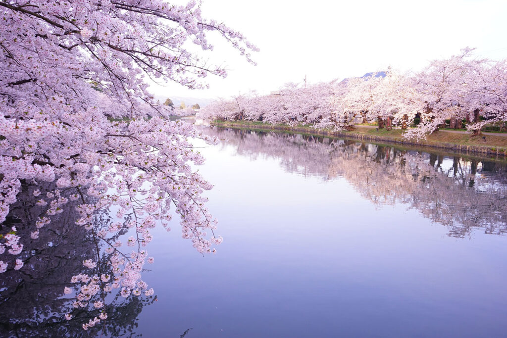 写真・旅行好きな人必見！春にオススメの絶景スポットをご紹介！【北海道・東北編】