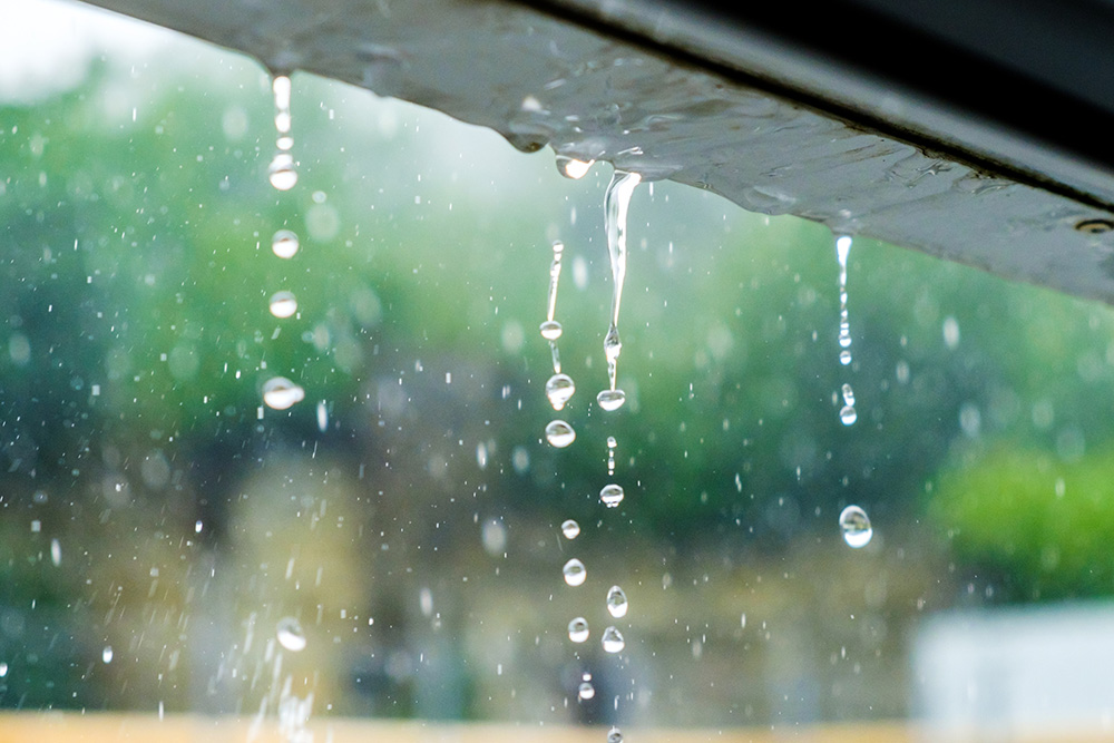 【雨天撮影のコツ】ドラマチックな写真は梅雨に撮る！